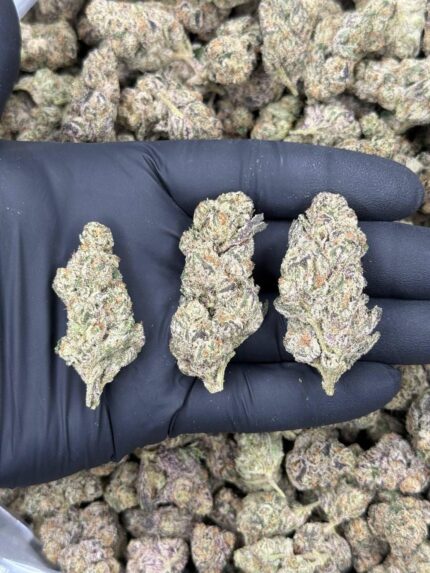 Astro Candy