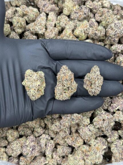 Sunset Sherbert